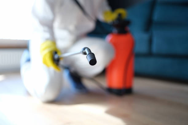 Best Indoor Air Quality Assessment  in Baldwinsville, NY