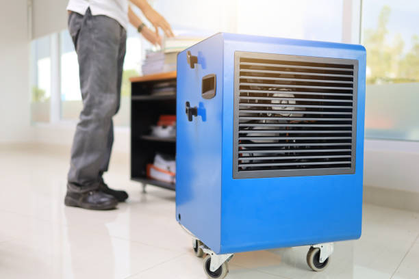 Best Mold Remediation for Healthcare Facilities  in Baldwinsville, NY